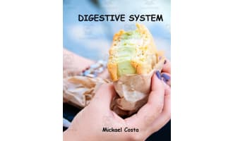 Digestive system