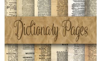 Digital Paper: Dictionary