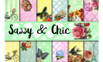 Digital Paper: Sassy and Chic
