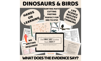 Dinosaur Activities - Are Dinosaurs and Birds Related?