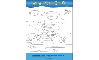 Dinosaur Dot-to-Dots: Volume 2 Activity Book