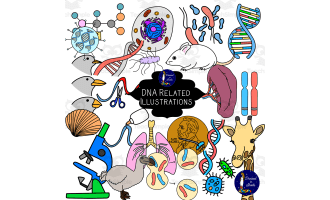 DNA Related Illustrations