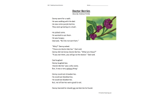 Doctor Berries - Reading Comprehension Worksheet