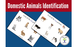 Domesticated Animals Identification