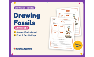 Drawing Fossils Worksheet – 3rd Grade Animals & Scientists Practice
