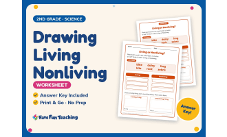 Drawing Living Nonliving Worksheet – 2nd Grade Practice + Answer Key