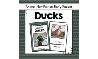 Ducks Informational Book | Nonfiction Early Reader Animal Booklet