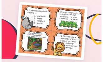 Ecology & Interdependence Task Cards