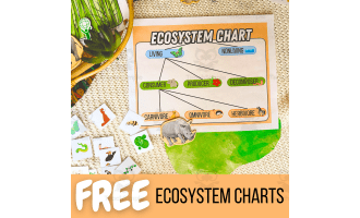 Ecosystem Science Anchor Chart: Living & Nonliving Flow Chart Activity