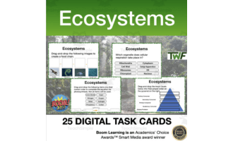 Ecosystems and Energy Flow Digital Boom Cards