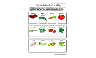 Edible Parts of a Plant Worksheet