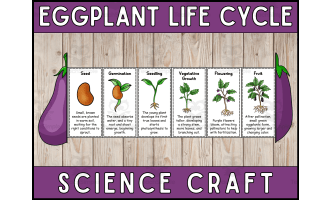 Eggplant Life Cycle Craft Foldable Science Cut and Paste Activity