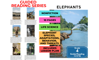 Elephants: Guided Reading Level Q with Lesson Plan
