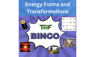 Energy Forms and Transformations Science BINGO Activity
