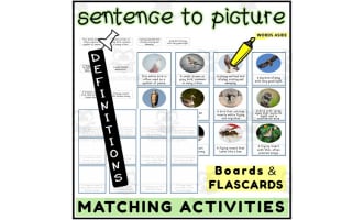 English Sentence to Picture Activities Flashcards 1