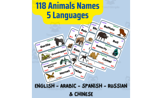 ESL Animals Flash Card Multilingual English Chinese Arabic Russian