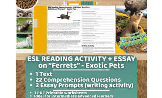 ESL Reading Comprehension + Writing Activity - Ferrets - Exotic Pets