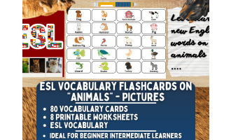 ESL Vocabulary Flashcards - Animals - Pictures