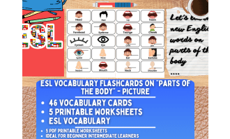 ESL Vocabulary Flashcards - Parts of the Body - Pictures
