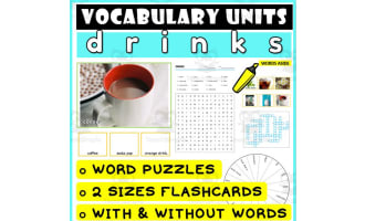 ESL Vocabulary Flashcards Puzzles Games 17