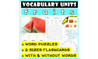 ESL Vocabulary Flashcards Puzzles Games 20