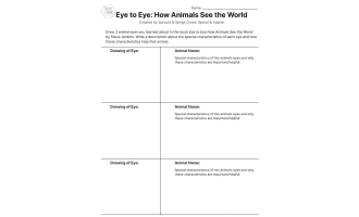 Eye to Eye How Animals See the World