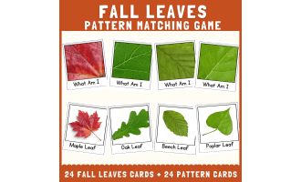 Fall tree leaves shape pattern matching cut & match science activity