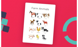 Farm Animals Flash Cards