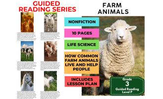 Farm Animals: Guided Reading Level P with Lesson Plan