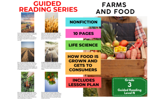 Farms and Food: Guided Reading Level N with Lesson Plan