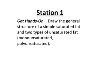 Genotype and Phenotype – Lab Station Activity by Teach Simple