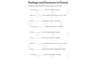 Feelings and Emotions in French exercises with answers