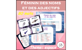 Féminin des noms et des adjectifs - 80 mots