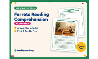 Ferrets Reading Comprehension Worksheet – 1st Grade Animals Practice