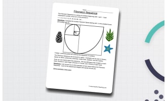 Fibonacci Sequences Worksheet - Examples