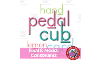 Final & Medial Consonants - Phonics Practice Simplified