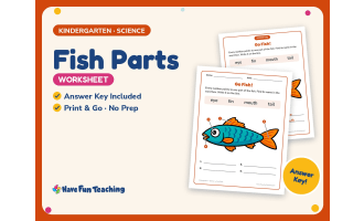 Fish Parts Worksheet – Kindergarten Anatomy & Animals Practice