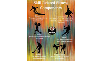 Health Related Components of Fitness Poster Health/physical Education  Poster 