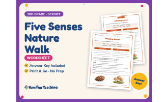 Five Senses Nature Walk Worksheet – 3rd Grade Health and Nutrition