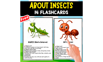 FLASHCARDS ABOUT 14 INSECTS | IN ENGLISH