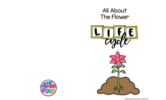 Flower Life Cycle Printable Activity Book