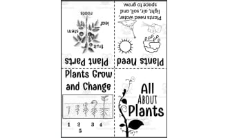 Fold & Read Booklet: All About Plants