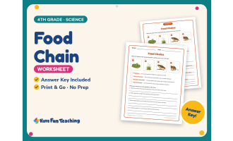 Food Chain Worksheet – 4th Grade Food Chains Practice + Answer Key