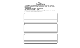 Food Chain Worksheet