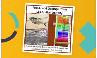Fossils and Geologic Time – Lab Station Activity