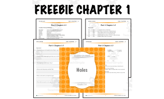 FREE: Holes Novel Study Guide – Chapter 1