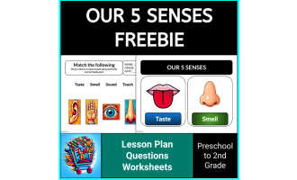 FREE: Our 5 Senses Lesson Plan & Conversation For Kindergarten & 1st