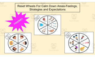 FREEBIE!! Visuals For Reset/Calm Down Areas