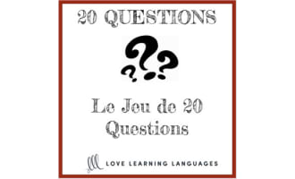 French 20 questions games - Small group or whole class no prep activities