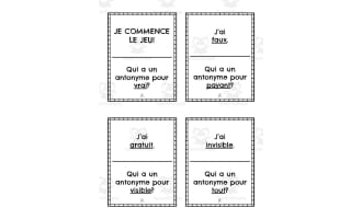 French: Antonyms Task Cards Set 2